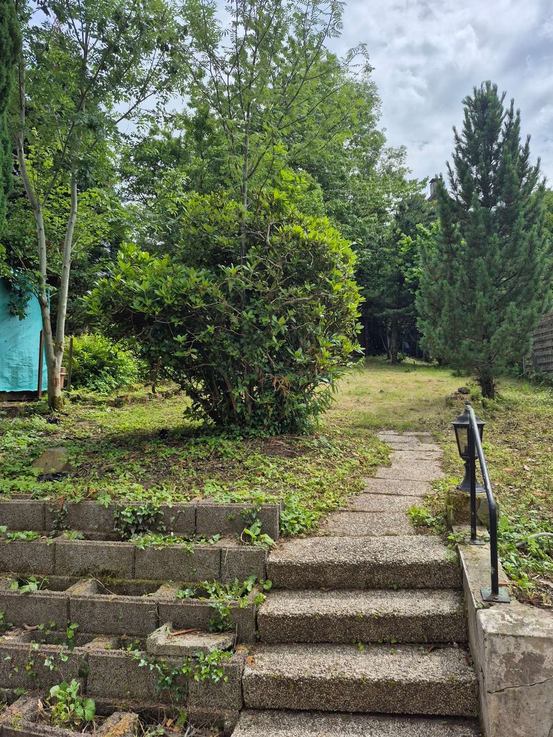 Zugang Garten